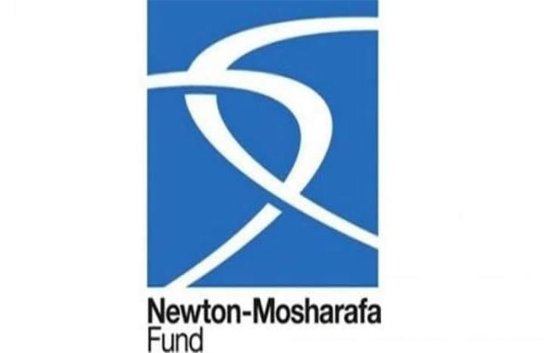 A workshop entitled "Funding Opportunities for the Newton-Musharafa Fund" at Ain Shams University