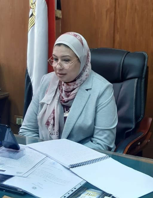 The Dean of Faculty of Al-Alsun participates in the activities of the future of the Arabic language in Chinese universities through video conference technology