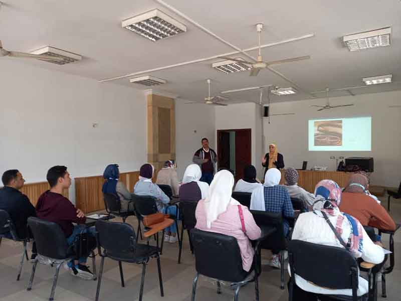A training course on the basics of writing a CV for postgraduate students at the Faculty of Archeology