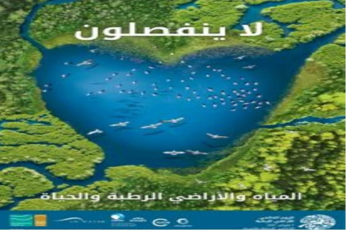 الخدمات البيئية للأراضي الرطبة .. ندوة بمعهد الدراسات والبحوث البيئية بجامعة عين شمس