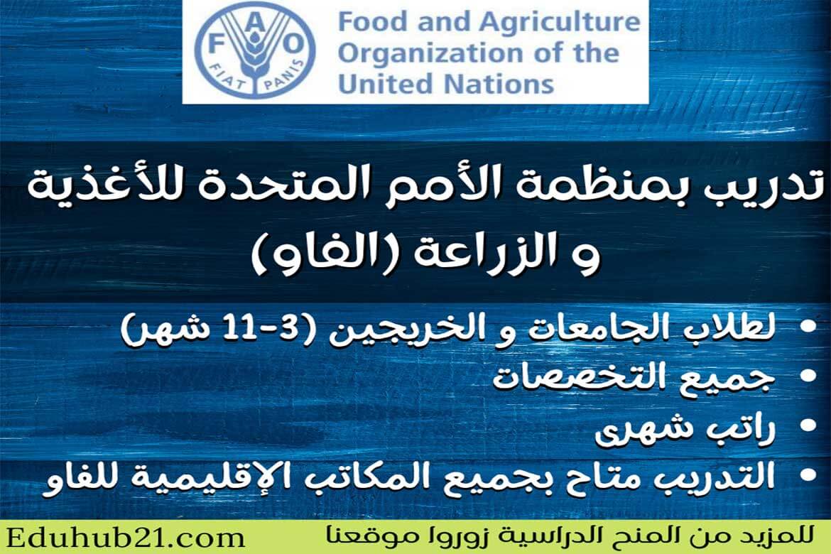 منظمة الفاو تقدم منح تدريبية للطلاب الجامعيين والخريجين