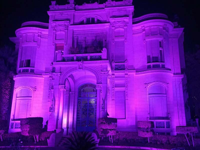 Ain Shams University and the Faculty of Medicine light up in purple