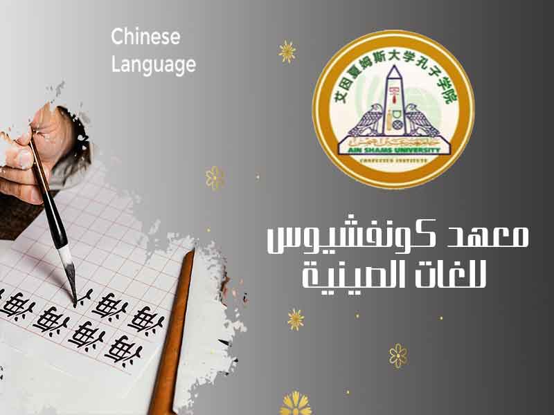 Opening the door for reservations in the summer courses to learn the Chinese language