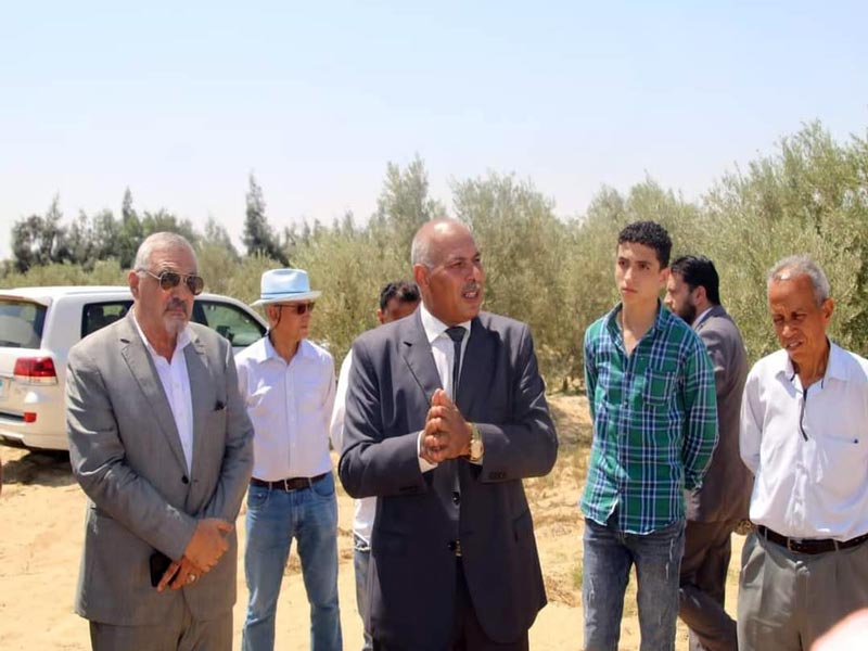 A high-level delegation of Ain Shams University professors participates in the activities of the National Jojoba Harvest Day