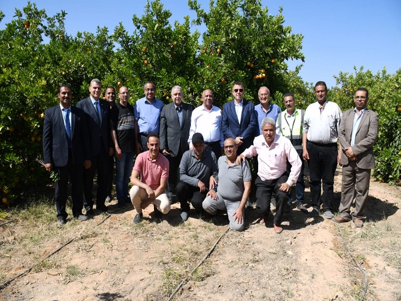 An inspection tour of the President of Ain Shams University in the farms of the Faculty of Agriculture in Nubaria