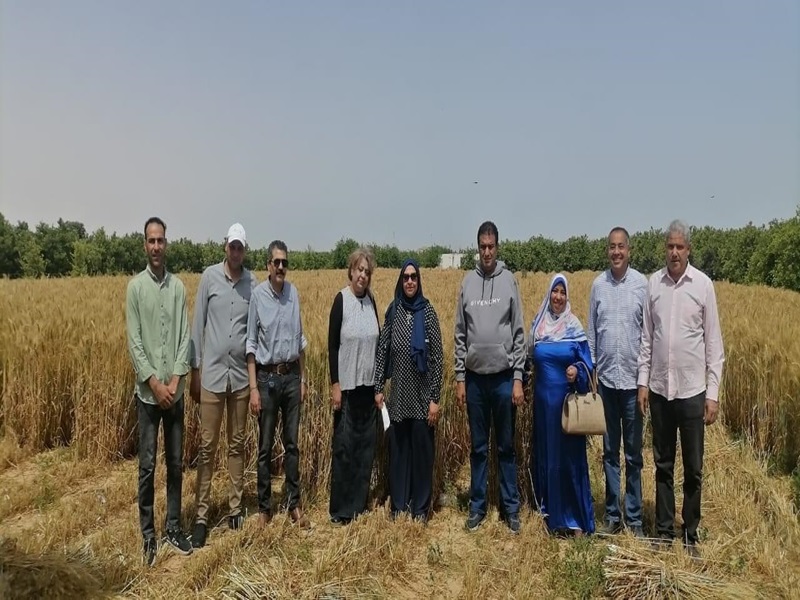 فعاليات الجولة التفقدية بمزارع القمح والبرتقال بكلية الزراعة جامعة عين شمس في مزرعة الإمام مالك بوادي النطرون