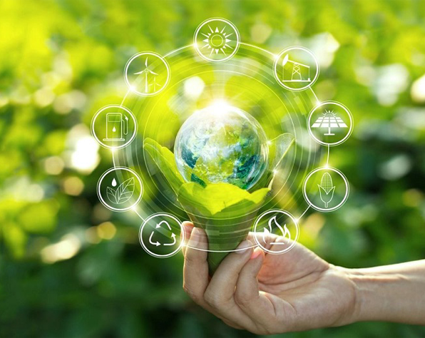 Community & Environmental  Sector