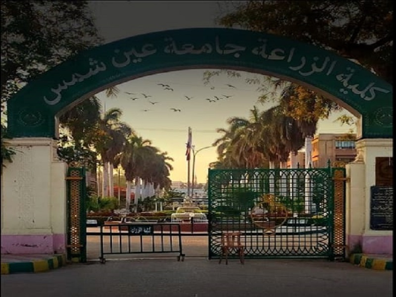 كلية الزراعة تطرح منتجات طازجة وعالية الجودة داخل الحرم الجامعي
