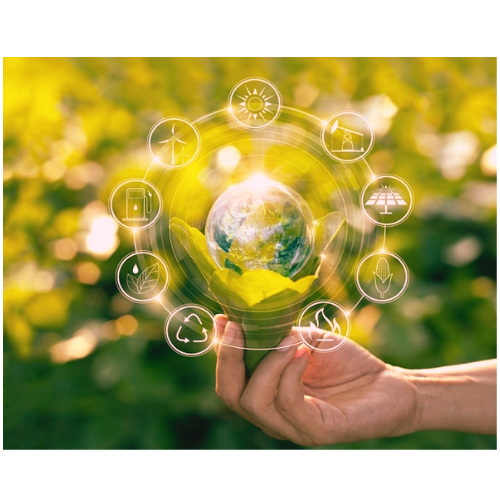 Community & Environmental  Sector