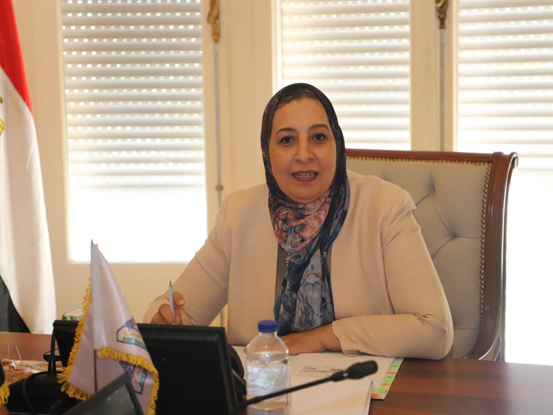 Prof. Ghada Farouk Chairs the Board of Directors Meeting of the Financial Consulting and Auditing Center at Ain Shams University