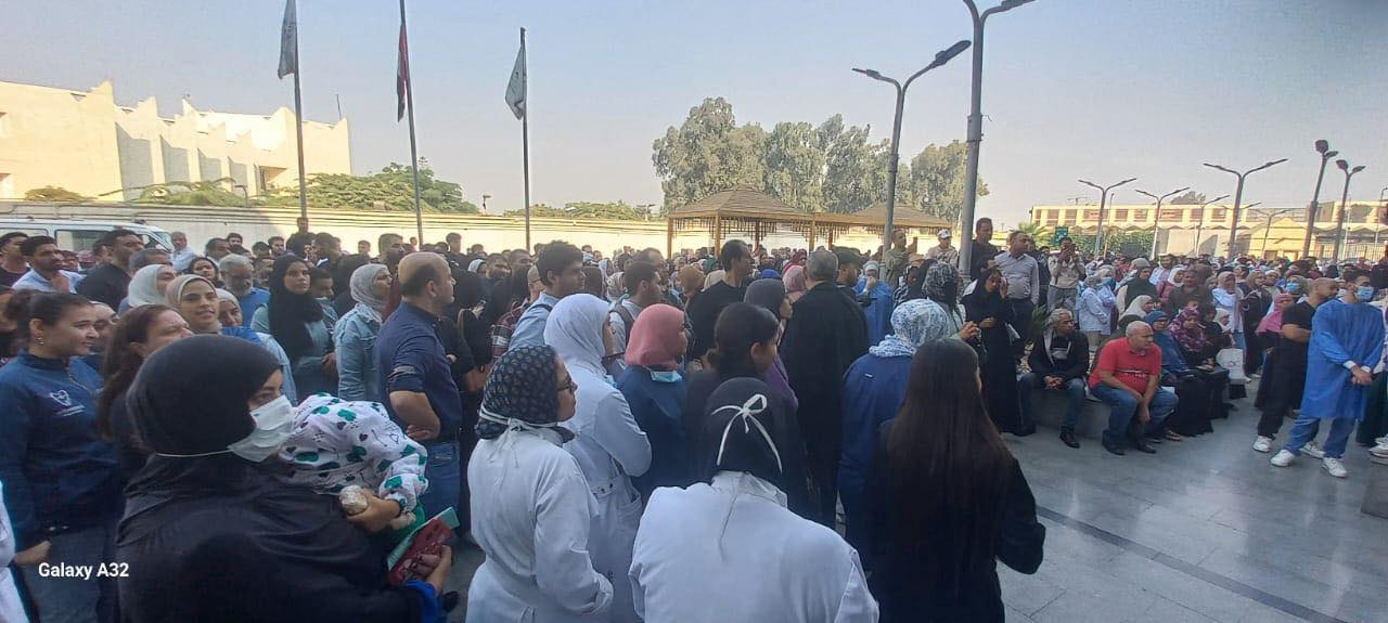 قطاع البيئة