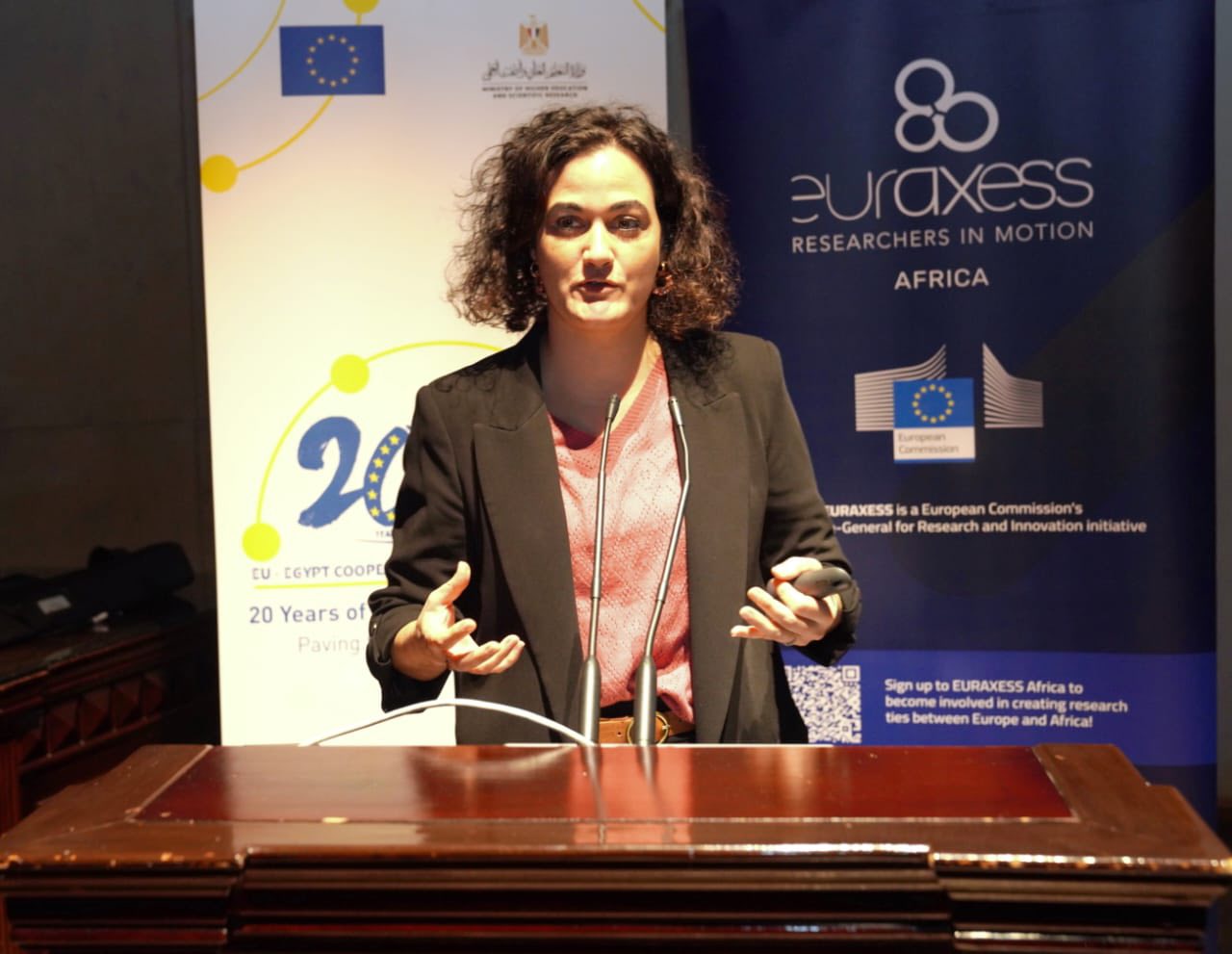 قطاع الدراسات