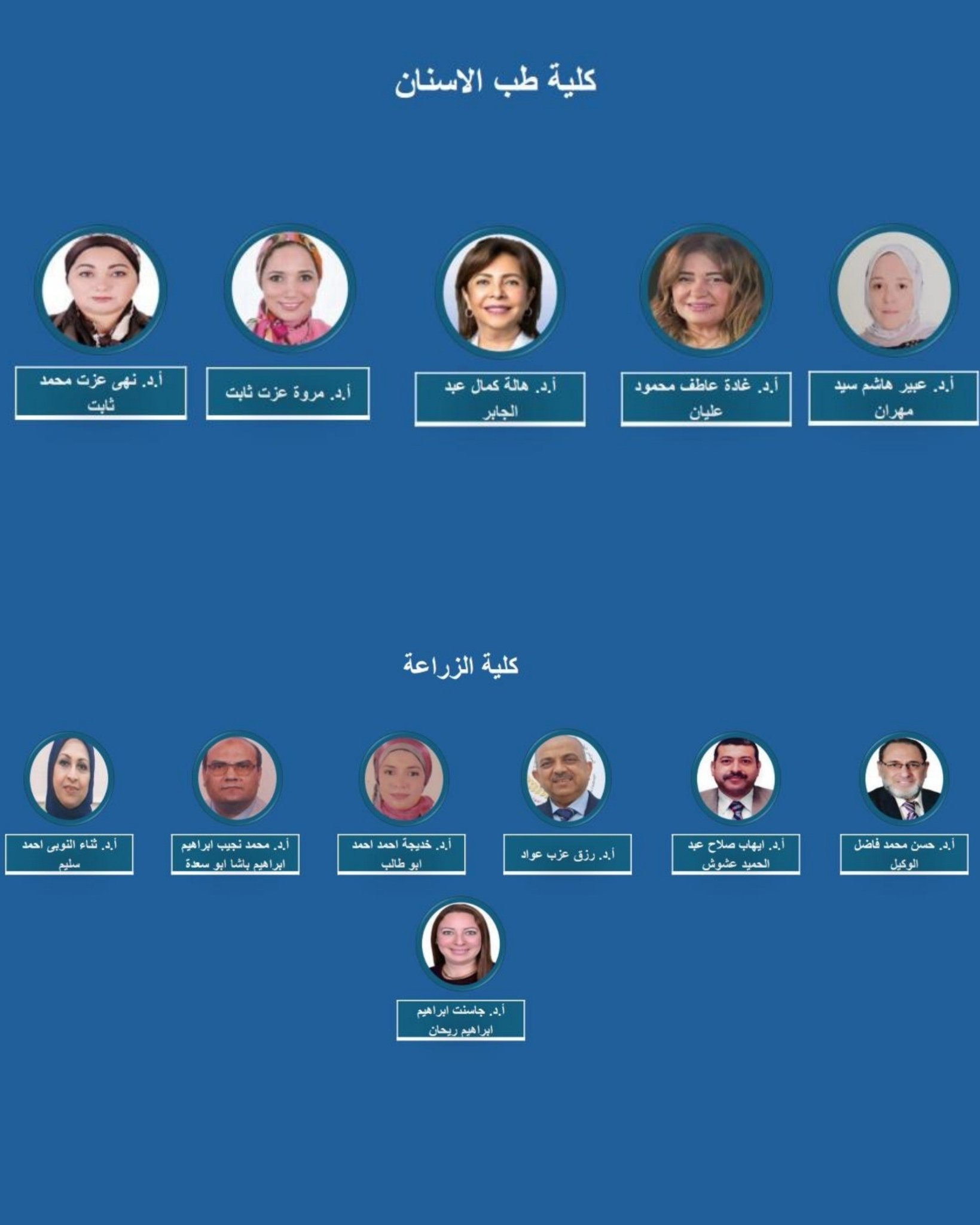 قطاع الدراسات