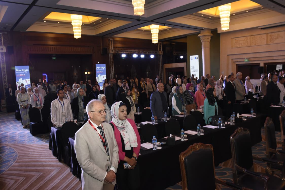 قطاع الدراسات