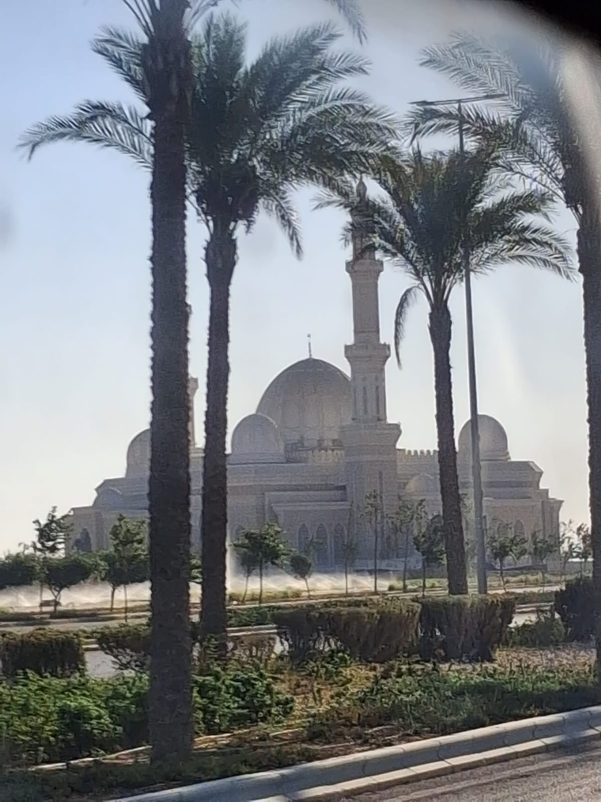 قطاع الطلاب