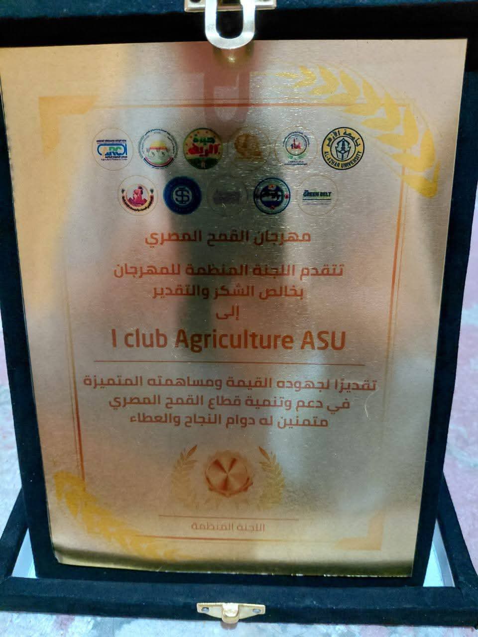 قطاع البيئه