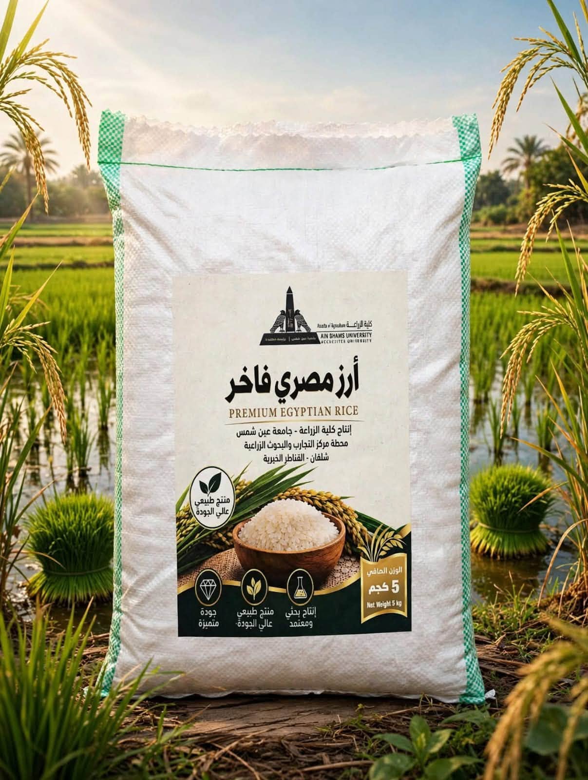 قطاع البيئة