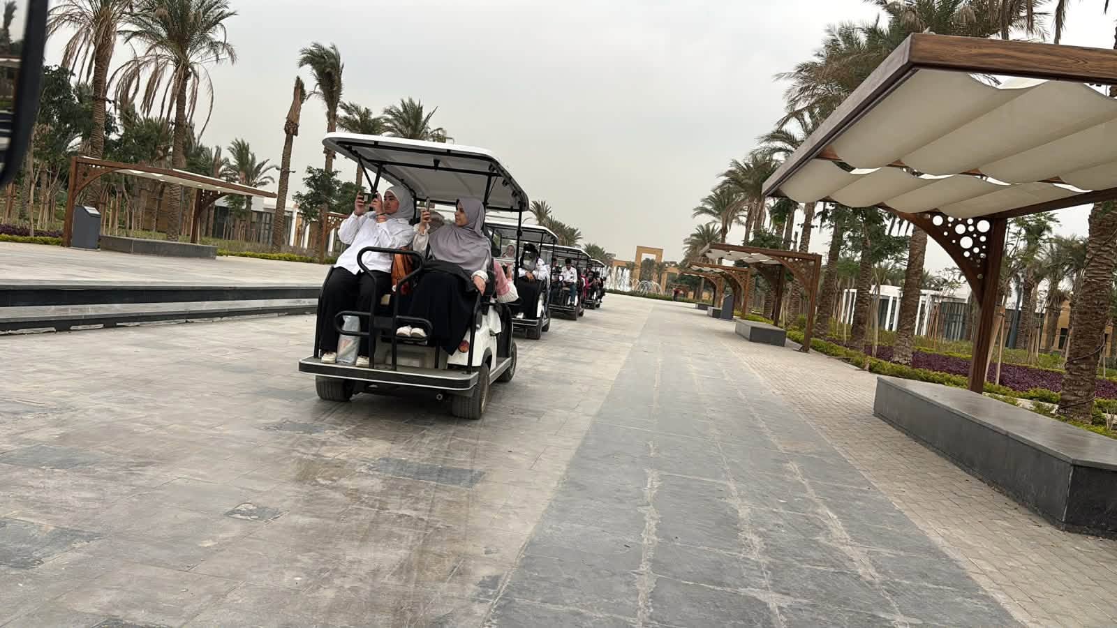 قطاع الدراسات