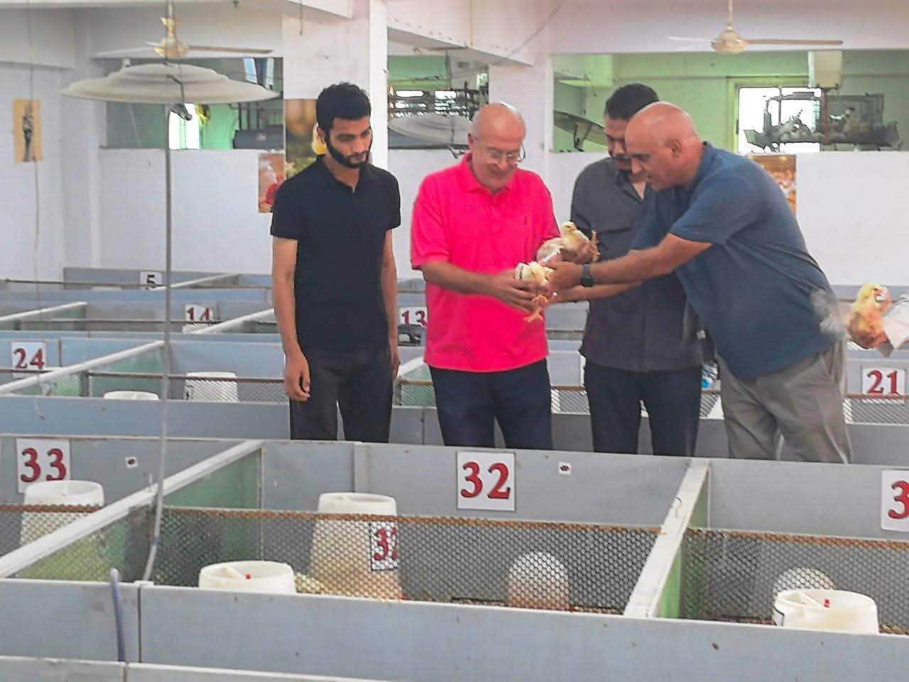 قطاع البيئة