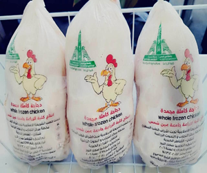 قطاع الدراسات العليا