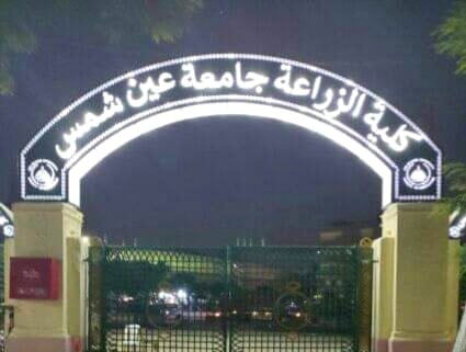 تعينات جديدة بزراعة عين شمس