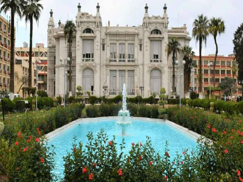 جامعة عين شمس تعلن أخر تطورات أول حالة زراعة رئة من متبرع حي في مصر والشرق الأوسط