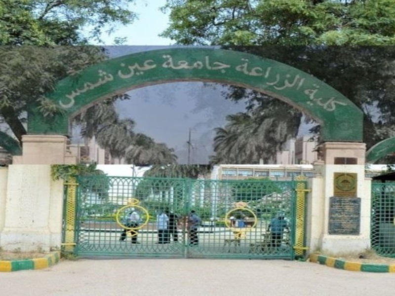 قرارات جديدة بكلية الزراعة جامعة عين شمس