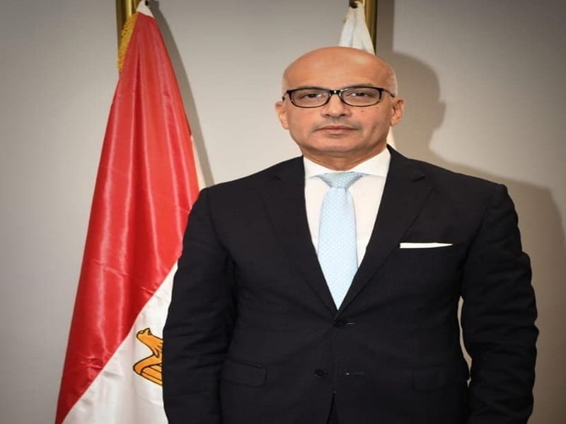 Ain Shams University advances in the Webometrics Ranking for “reference citations” in its July 2024 edition