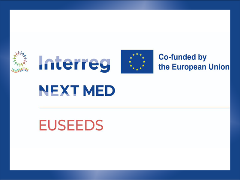 Ain Shams University Wins Participation in EUSEEDS Project to Promote Employment, Entrepreneurship, and Digital Transformation through the Establishment of the University Francophone Center
