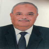 team Image