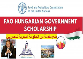The announcement of scholarships provided by the Hungarian government to Egyptians