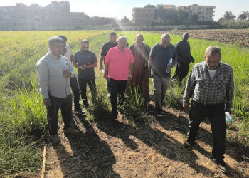 كلية الزراعة تفتتح عنبري دواجن جديدين بمركز التجارب والبحوث الزراعية بشلقان