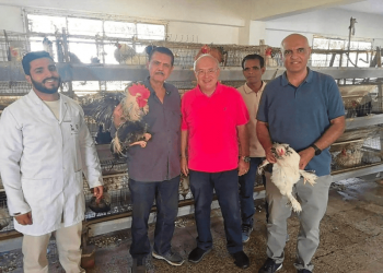 Faculty of Agriculture Poultry Farms Offer Products at Discounted Prices to University Staff and Members